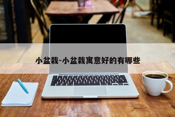 小盆栽-小盆栽寓意好的有哪些