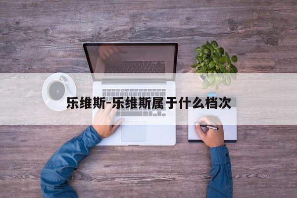 乐维斯-乐维斯属于什么档次