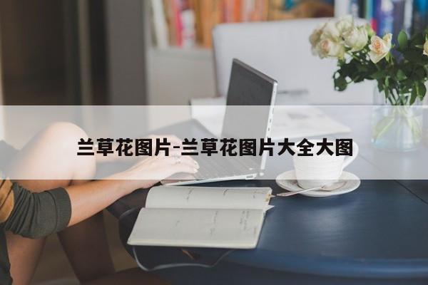 兰草花图片-兰草花图片大全大图