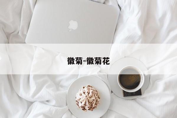 徽菊-徽菊花