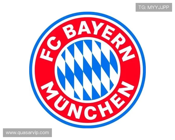 除主流俱乐部外的其他德甲球队介绍